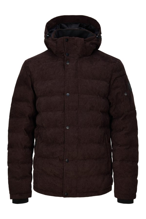 Cort Men's padded
