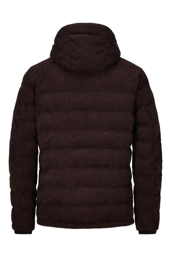 Cort Men's padded - Image 2