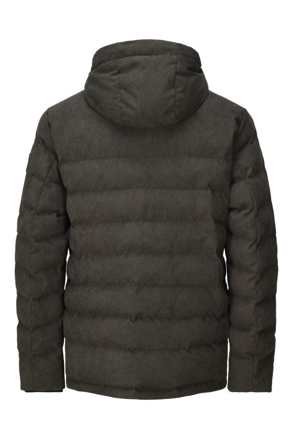Cort Men's padded - Image 6